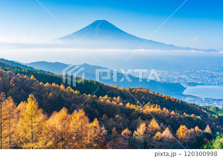 【山梨県】カラマツの黄葉、雲海と富士山 120300998