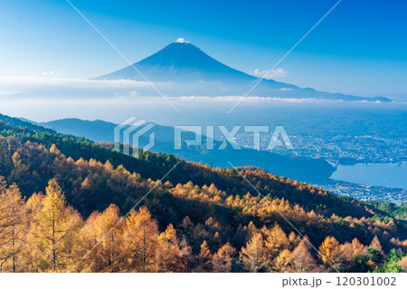 【山梨県】カラマツの黄葉、雲海と富士山 【山梨県】カラマツの黄葉、雲海と富士山 120301002