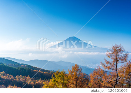 【山梨県】カラマツの黄葉、雲海と富士山 120301005