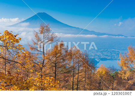 【山梨県】カラマツの黄葉、雲海と富士山 【山梨県】カラマツの黄葉、雲海と富士山 120301007