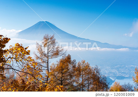 【山梨県】カラマツの黄葉、雲海と富士山 120301009