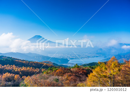 【山梨県】カラマツの黄葉、雲海と富士山 120301012