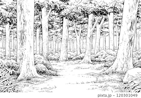 漫画風ペン画イラスト 自然物_森のイラスト素材 [120301049] - PIXTA