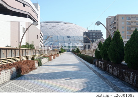 バンテリンドームナゴヤ 120301085