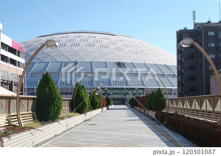 バンテリンドームナゴヤ 120301087