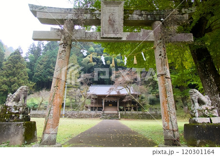 荘厳な雰囲気の鳥居 120301164