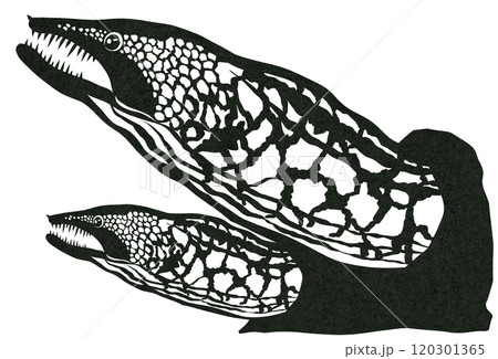 海水魚ウツボの切り絵貼り絵塗り絵の図案 120301365