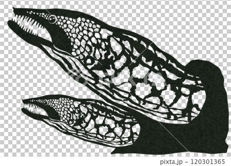 海水魚ウツボの切り絵貼り絵塗り絵の図案 120301365
