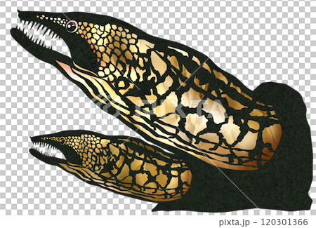 食べると美味しい海水魚ウツボの切り絵イラスト 食べると美味しい海水魚ウツボの切り絵イラスト 120301366