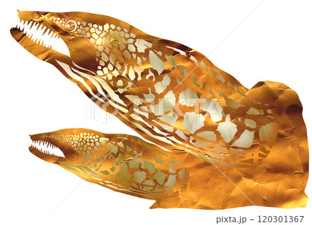 獰猛な海水魚ウツボの切り絵イラスト 獰猛な海水魚ウツボの切り絵イラスト 120301367