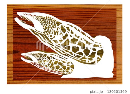 海水魚ウツボのウッドペインティング切り絵イラスト 120301369