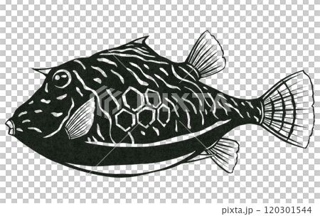 観賞魚ハコフグの切り絵貼り絵塗り絵にピッタリ図案 120301544