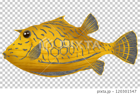 可愛い観賞魚のオシャレな切り絵イラスト 120301547