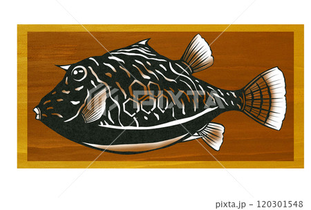 可愛い海水魚ハコフグの切り絵イラスト 120301548