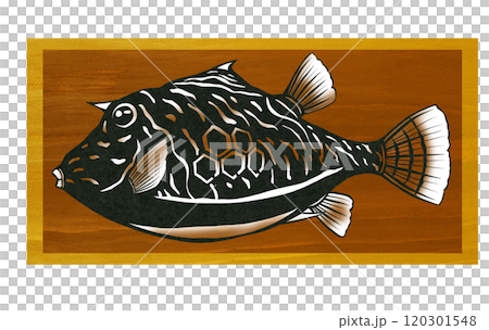 可愛い海水魚ハコフグの切り絵イラスト 120301548