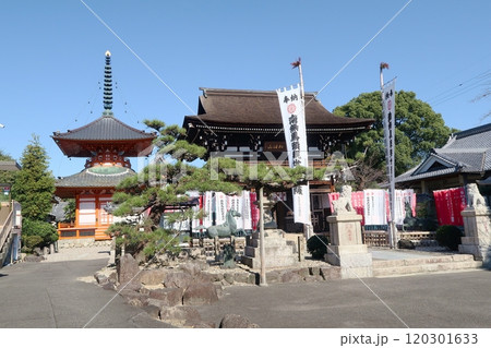 名古屋市守山区の竜泉寺仁王門と多宝塔 120301633