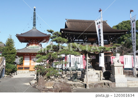 名古屋市守山区の竜泉寺仁王門と多宝塔 120301634