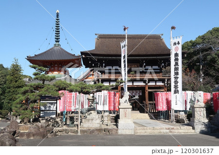 名古屋市守山区の竜泉寺仁王門と多宝塔 名古屋市守山区の竜泉寺仁王門と多宝塔 120301637