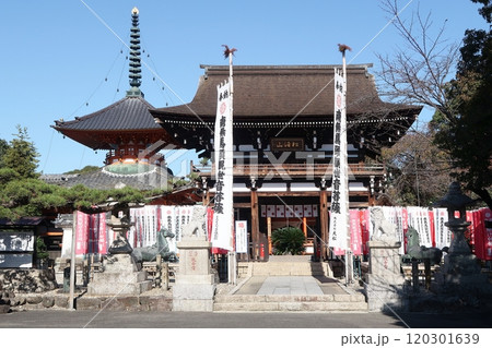 名古屋市守山区の竜泉寺仁王門と多宝塔 名古屋市守山区の竜泉寺仁王門と多宝塔 120301639