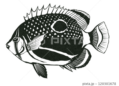 可愛いチョウチョウウオの切り絵貼り絵塗り絵図案 120301678