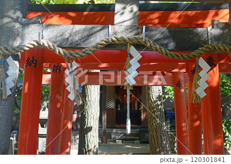 大阪福島了徳院境内の白髭稲荷大明神-3 大阪福島了徳院境内の白髭稲荷大明神-3 120301841