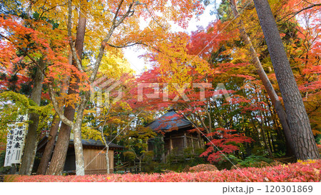 世界遺産中尊寺　秋色に染まる峯薬師堂の朝　岩手県 120301869