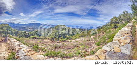 Panoramic view of the western Corsican coastline from the historic abandoned village of Occi Panoramic view of the western Corsican coastline from the historic abandoned village of Occi 120302029