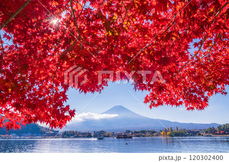 【山梨県】河口湖畔のモミジ紅葉と富士山 120302400