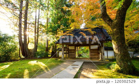 世界遺産中尊寺 光差し込む秋の朝 大長寿院門 岩手県 世界遺産中尊寺 光差し込む秋の朝 大長寿院門 岩手県 120302529