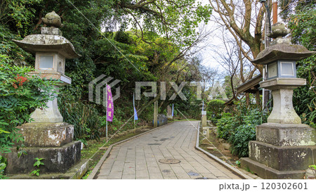 朱の鳥居が印象的な湘南江ノ島の江島神社の奥津宮・竜神 朱の鳥居が印象的な湘南江ノ島の江島神社の奥津宮・竜神 120302601