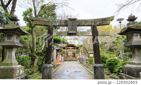朱の鳥居が印象的な湘南江ノ島の江島神社の奥津宮・竜神　 120302603