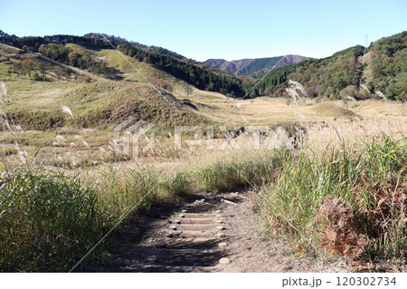 砥峰高原の秋（兵庫県 神崎郡 神河町） 120302734