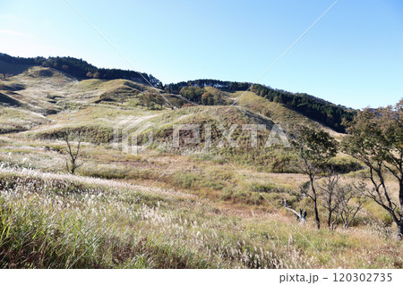 砥峰高原の秋(兵庫県 神崎郡 神河町) 砥峰高原の秋(兵庫県 神崎郡 神河町) 120302735