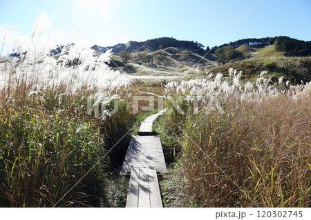 砥峰高原の秋（兵庫県 神崎郡 神河町） 120302745