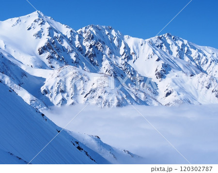 北アルプス・八方尾根から望む冬の白馬三山 120302787