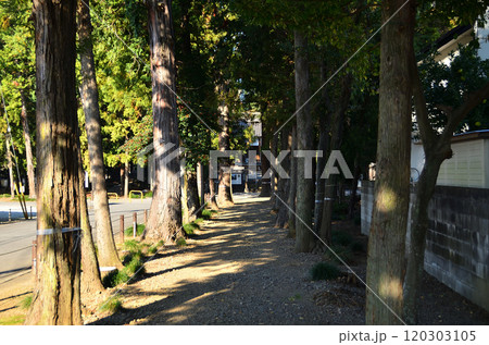 埼玉県坂戸市浅羽野のパワースポット　土屋神社 120303105