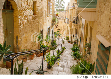 Old stairs with many plant pots in Birgu old town, Malta Old stairs with many plant pots in Birgu old town, Malta 120303154