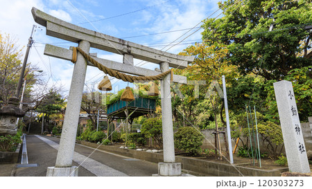 紅葉の小動神社 120303273