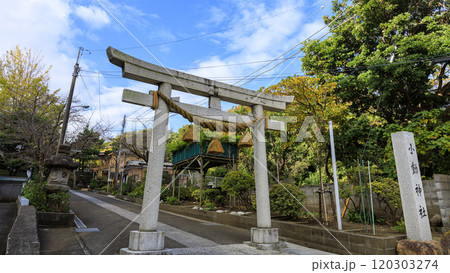 紅葉の小動神社 120303274