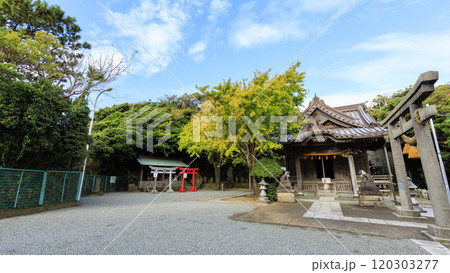紅葉の小動神社 120303277