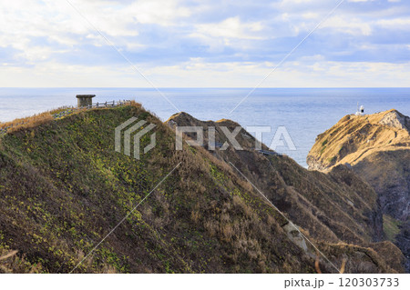 晩秋の情景＠神威岬【北海道】 120303733