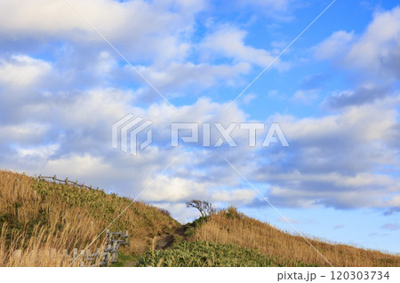 晩秋の情景＠神威岬【北海道】 120303734