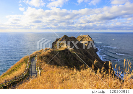 秋の神威岬で感じる絶景【北海道】 120303912