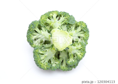 ブロッコリー 茎の断面 ブロッコリー 茎の断面 120304113