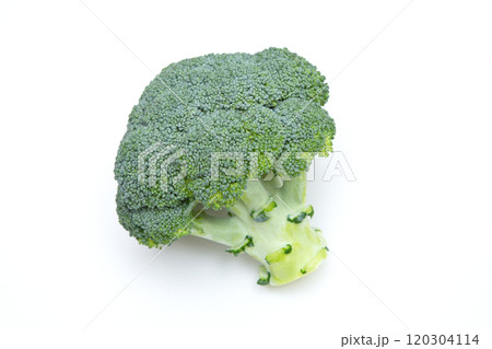 ブロッコリー ブロッコリー 120304114