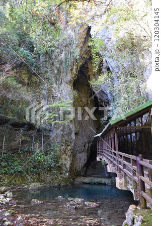 山口県 特別天然記念物 秋芳洞 山口県 特別天然記念物 秋芳洞 120304145