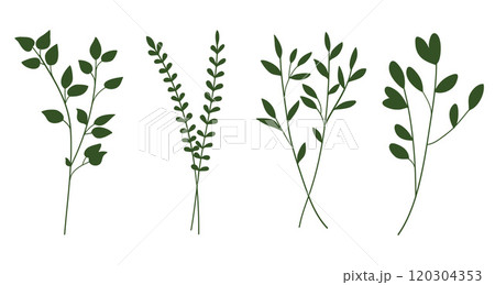 Green silhouette twigs with leaves botanical collection. 120304353