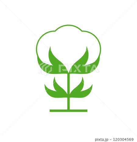 Cotton flower icon. Vector drawing on blank background. Isolated illustration. 120304569