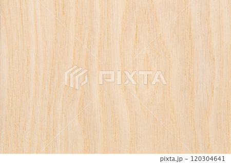 栓　セン　木材 120304641