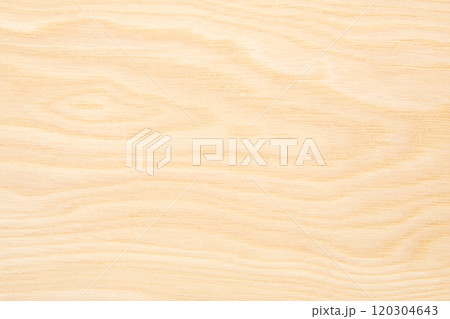 栓　セン　木材 120304643